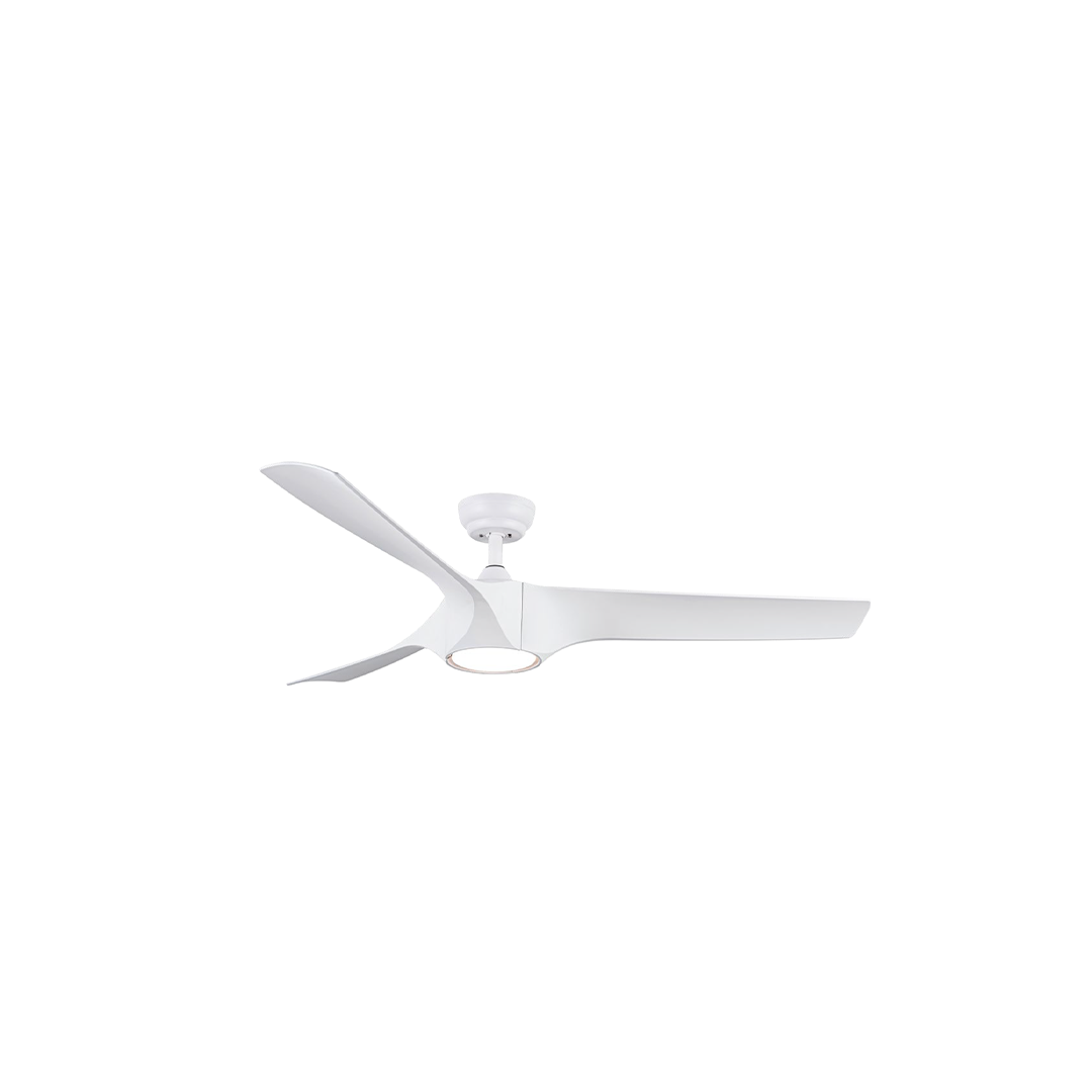 FALCON (WHITE/ BLACK)