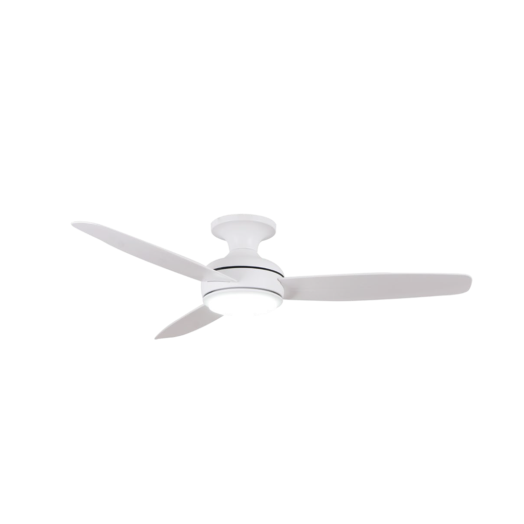 MAESTRO (WHITE / BLACK)