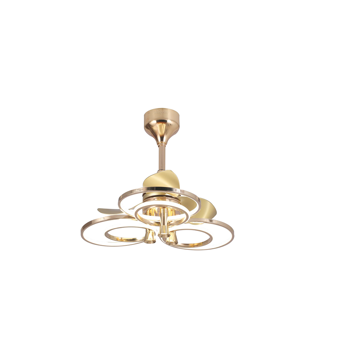 ROSY (FRENCH GOLD)
