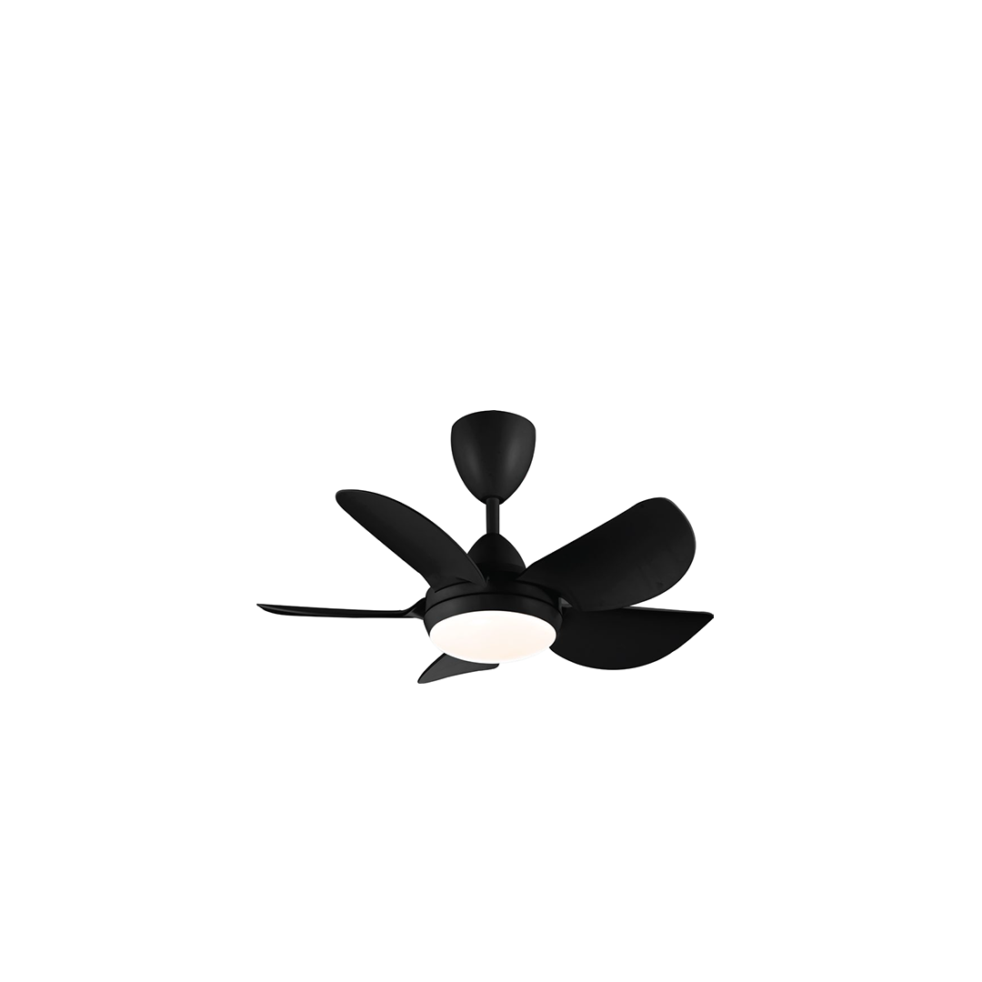 ENIGMA (WHITE/BLACK)