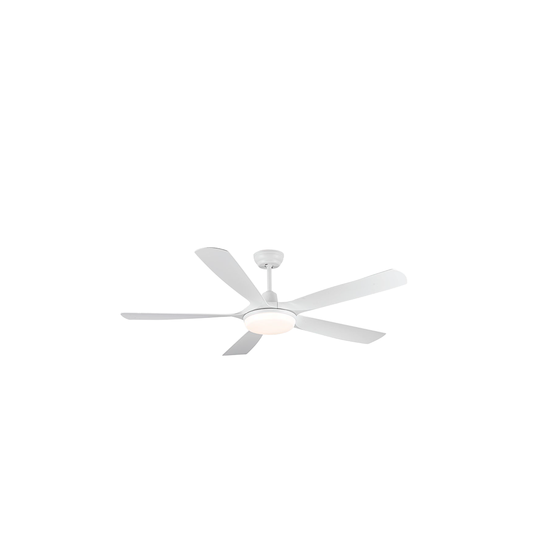 SPECTRA (WHITE / BLACK)