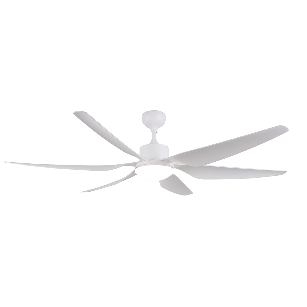 RADAR (WHITE/SILVER/BLACK)