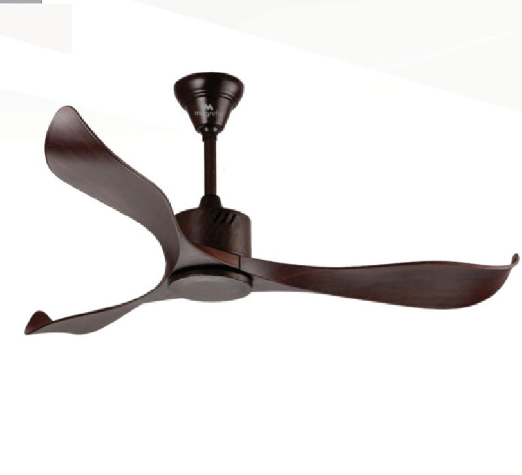Buy Infinity Magnific Designer Ceiling Fan, Unique Ceiling Fans Online