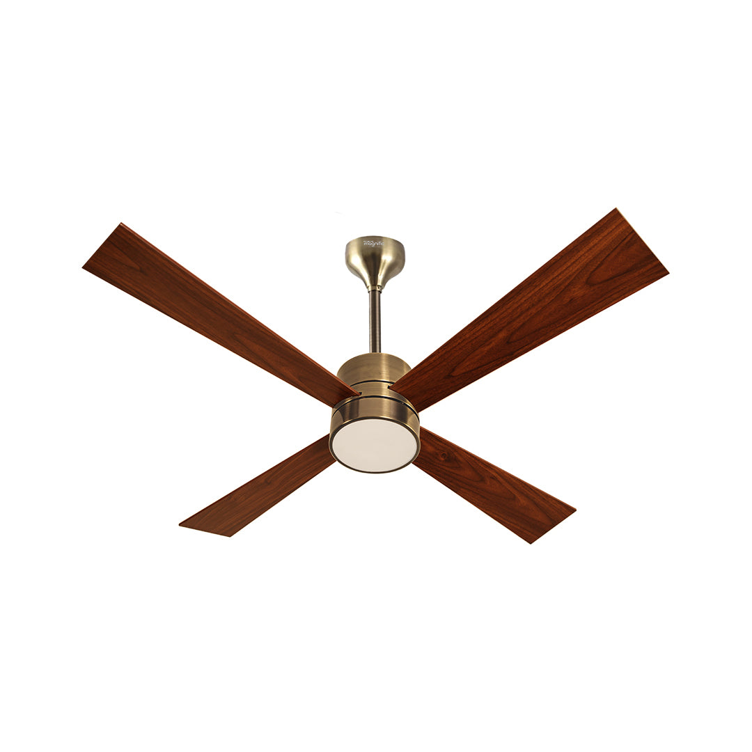 Designer Luxury Fans Online