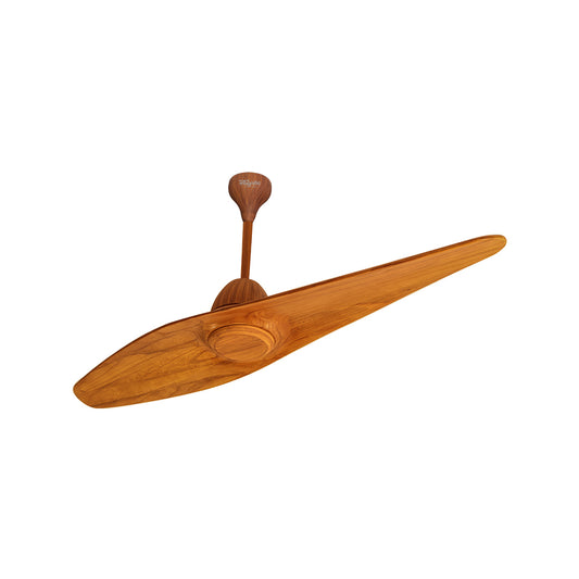 Designer Modern Ceiling Fan Online