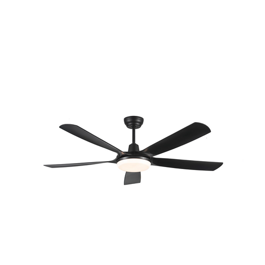SPECTRA (WHITE / BLACK)