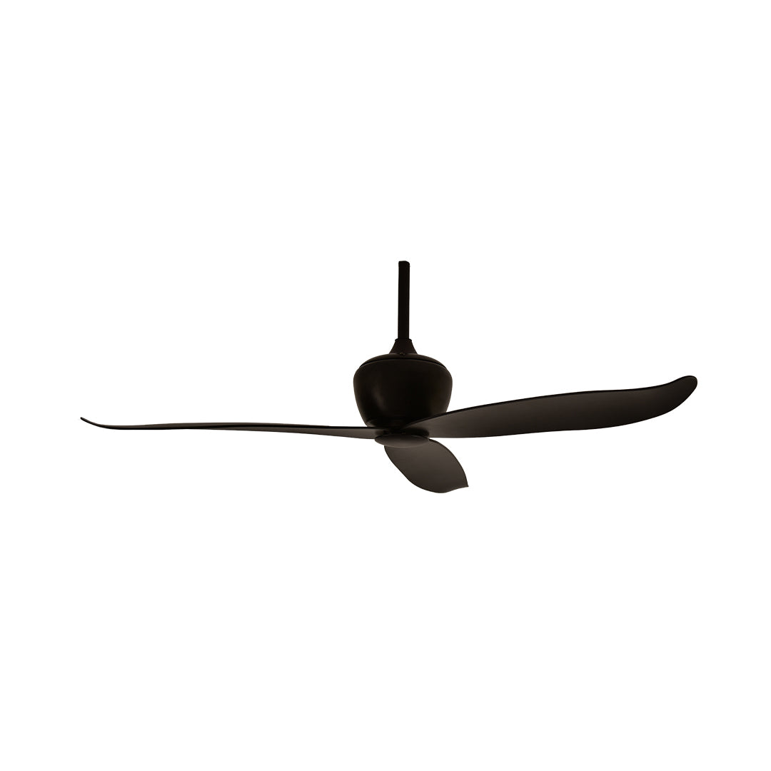 Buy VENICE (BLACK), Ceiling Fan Online