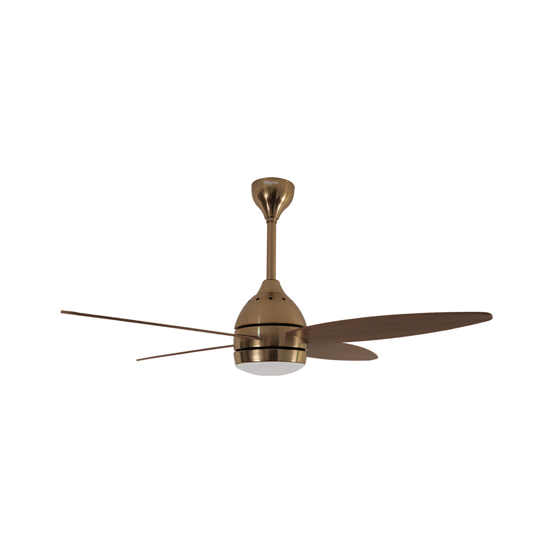 Modern Designer Ceiling Fan Online