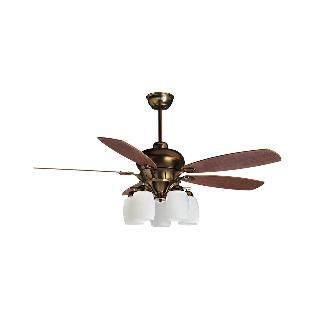 Buy VALENICA, Designer Ceiling Fan