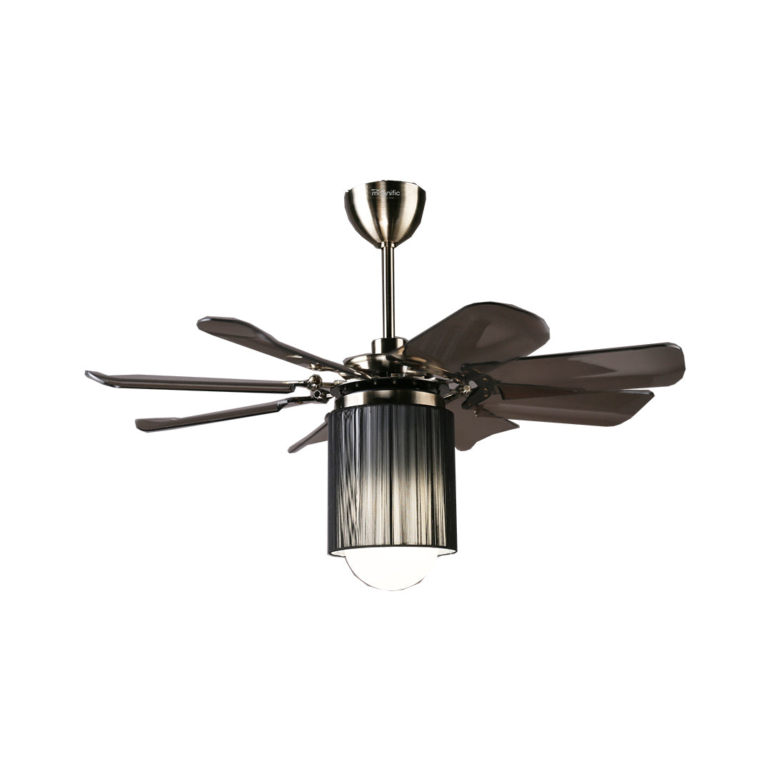 Modern Ceiling Fan Online