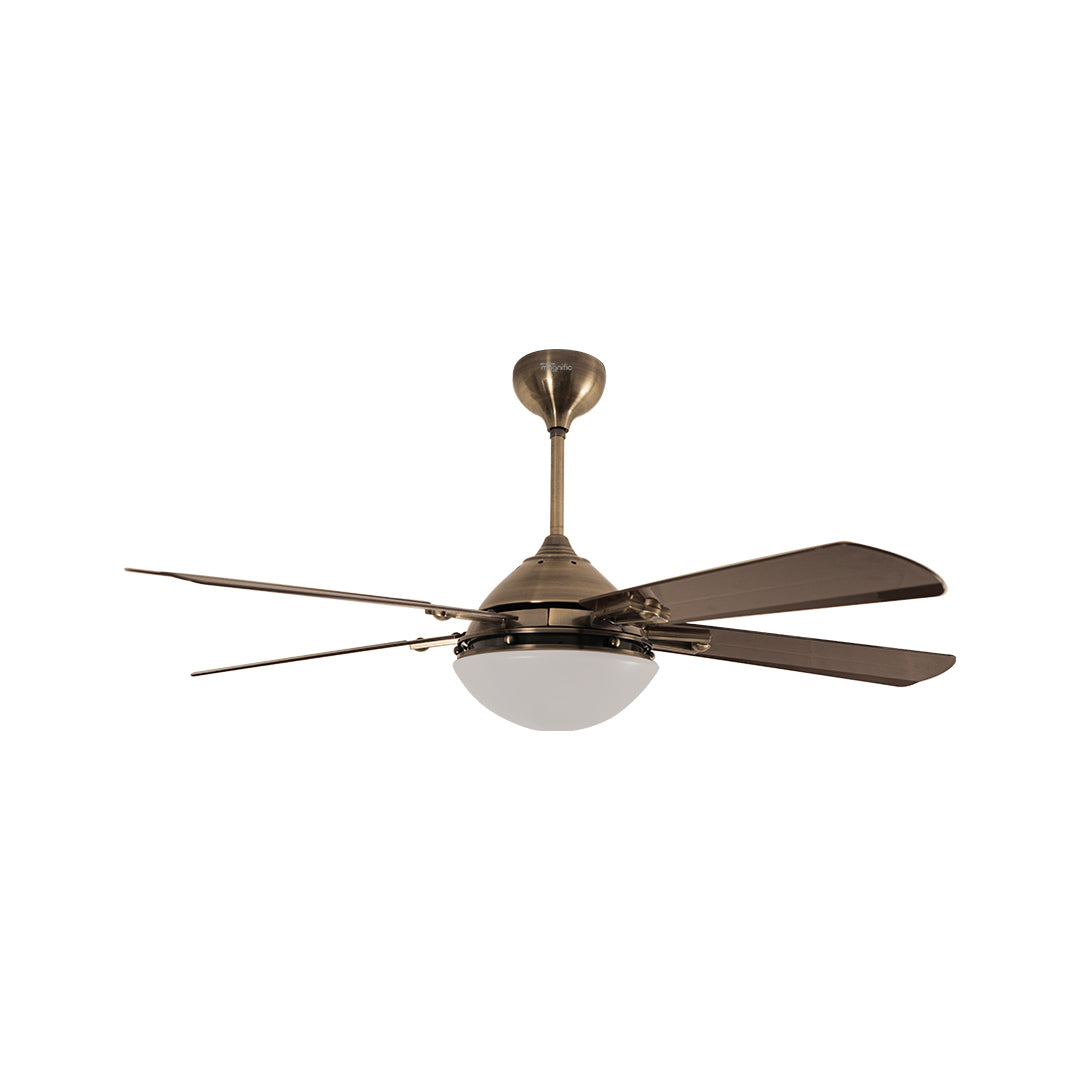 Modern Designer Ceiling Fan with Light Online