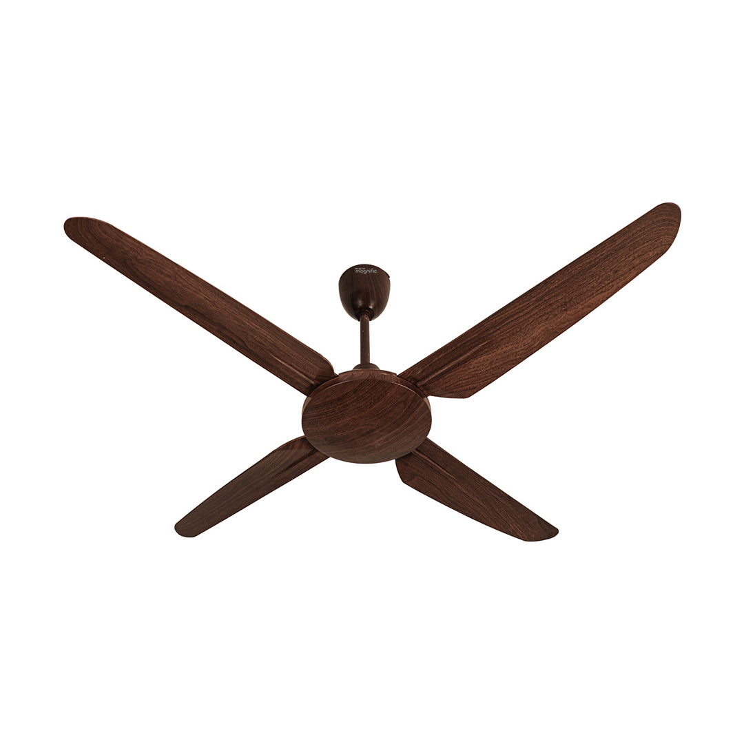 Magnific Designer Ceiling Fan Online