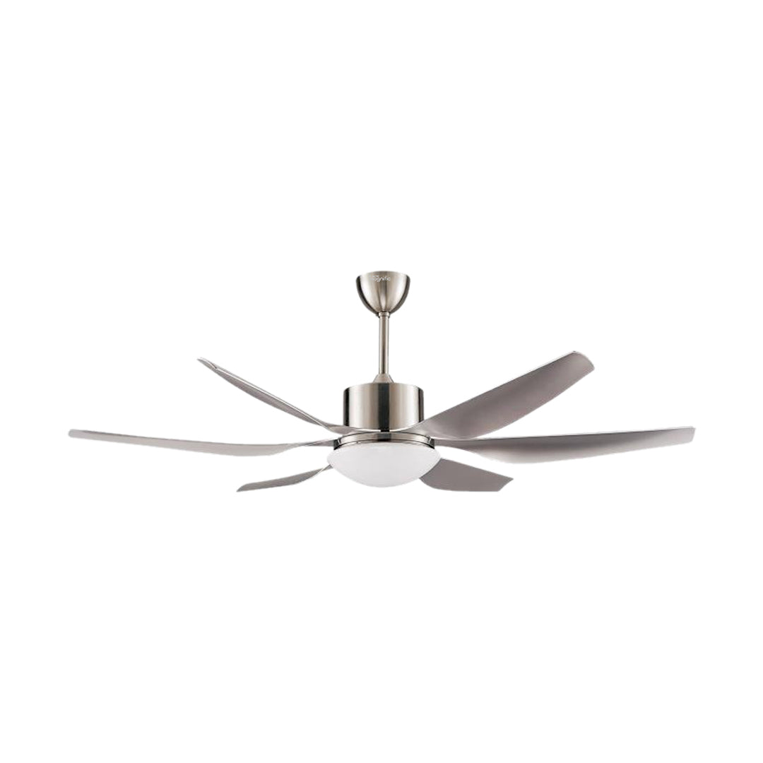 Modern Ceiling Fan with Light