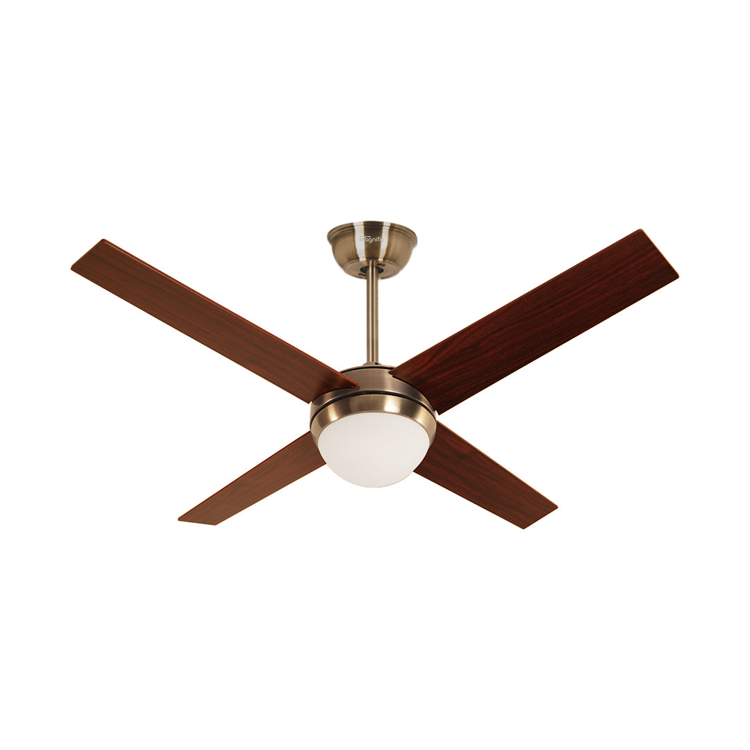 Buy EURO magnific designer fan, bedroom ceiling fans online