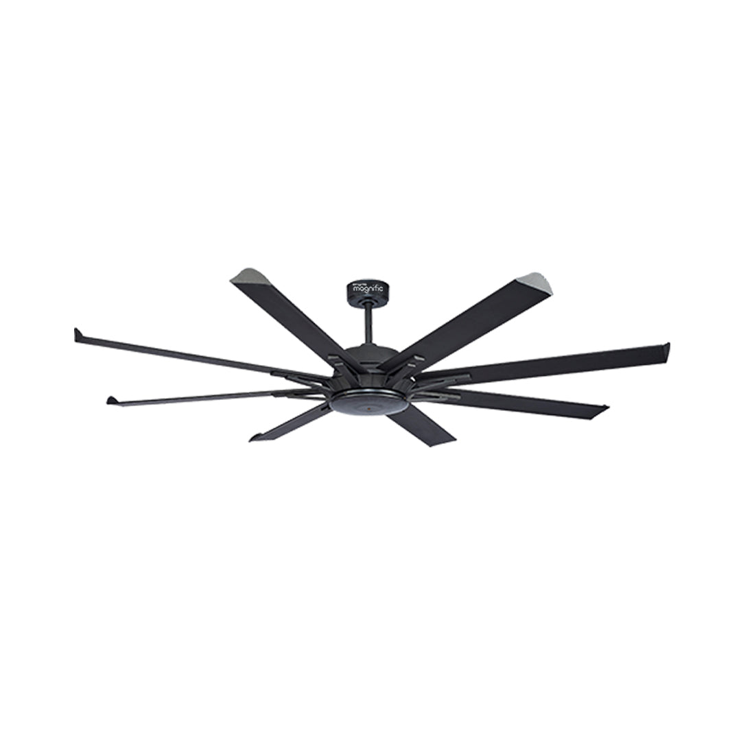 Buy BOLERO 78"luxury ceiling fan, commercial ceiling fans online