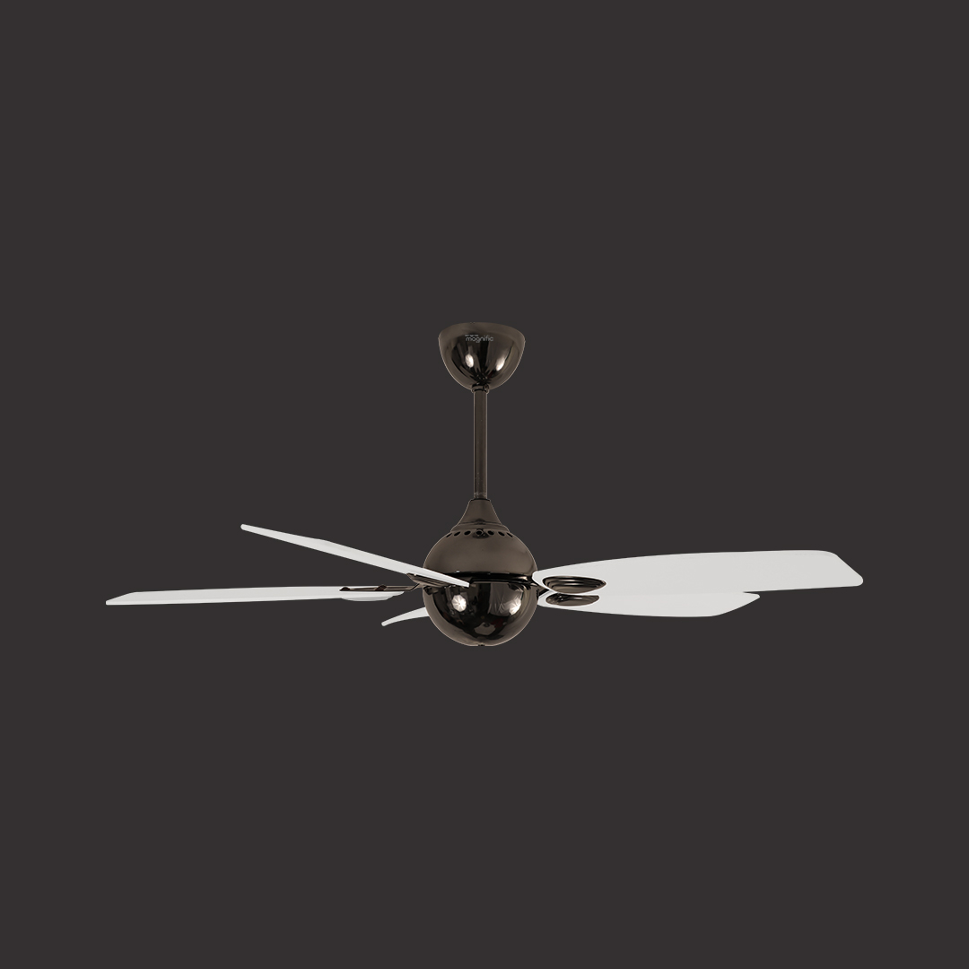 Buy PUFFIN designer ceiling fan Online now