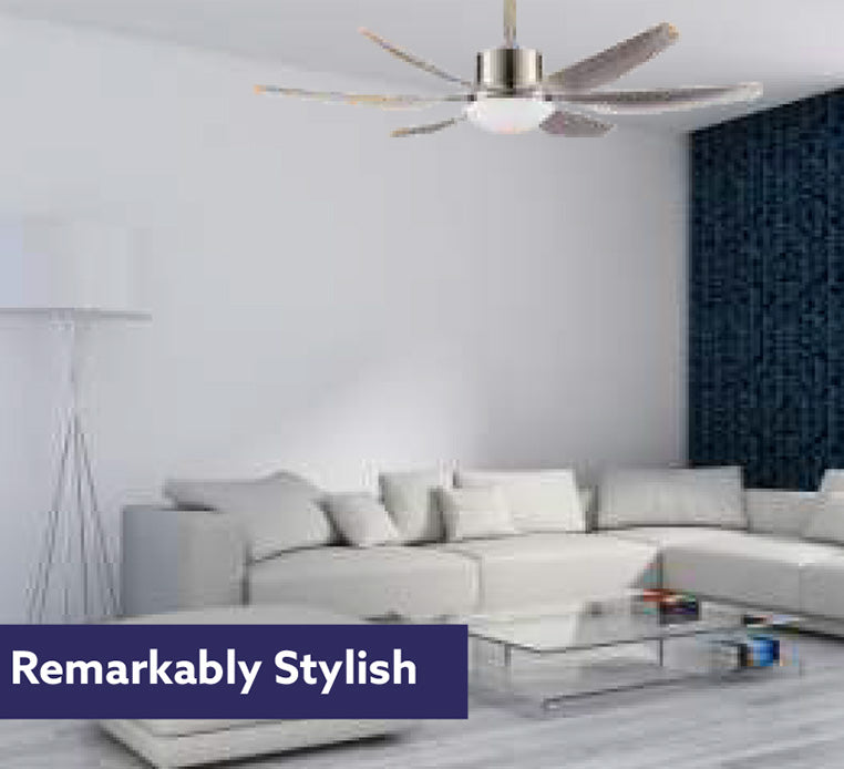 Modern Ceiling Fan with Light