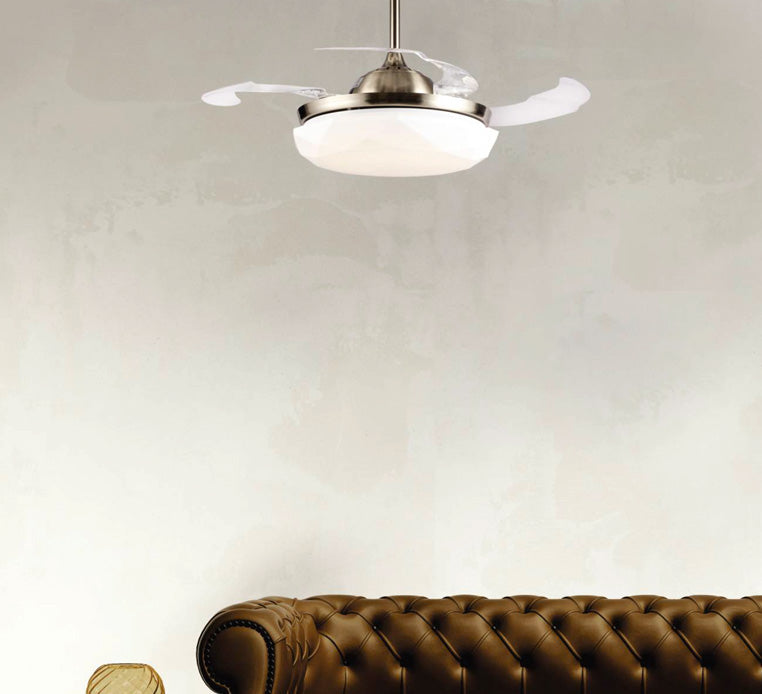 Buy Rays Magnific Designer Modern Ceiling Fan With Light