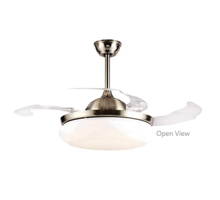 Buy Rays Magnific Designer Modern Ceiling Fan With Light