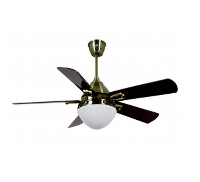 Modern Designer Ceiling Fan with Light Online