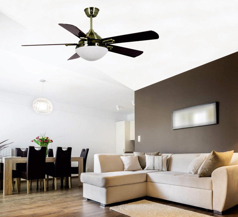 Modern Designer Ceiling Fan with Light Online