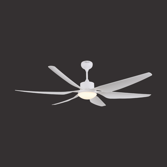 Modern Ceiling Fan Online