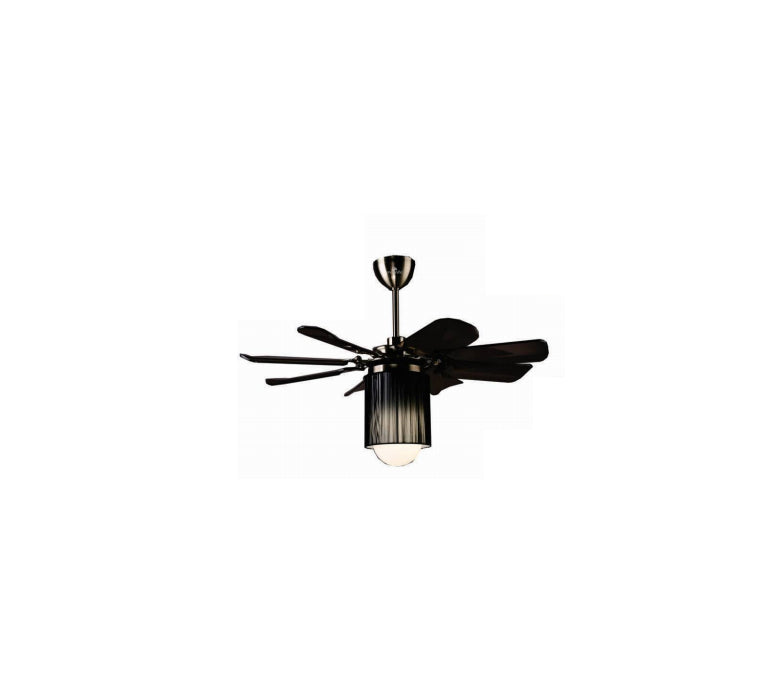 Modern Ceiling Fan Online