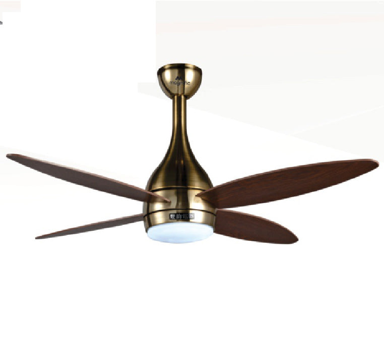 Modern Designer Ceiling Fan Online