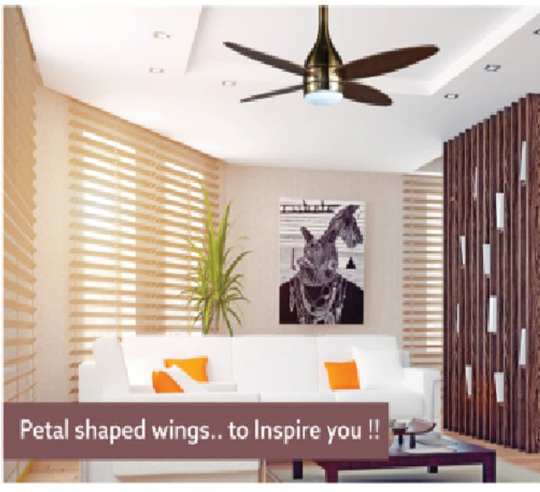 Modern Designer Ceiling Fan Online