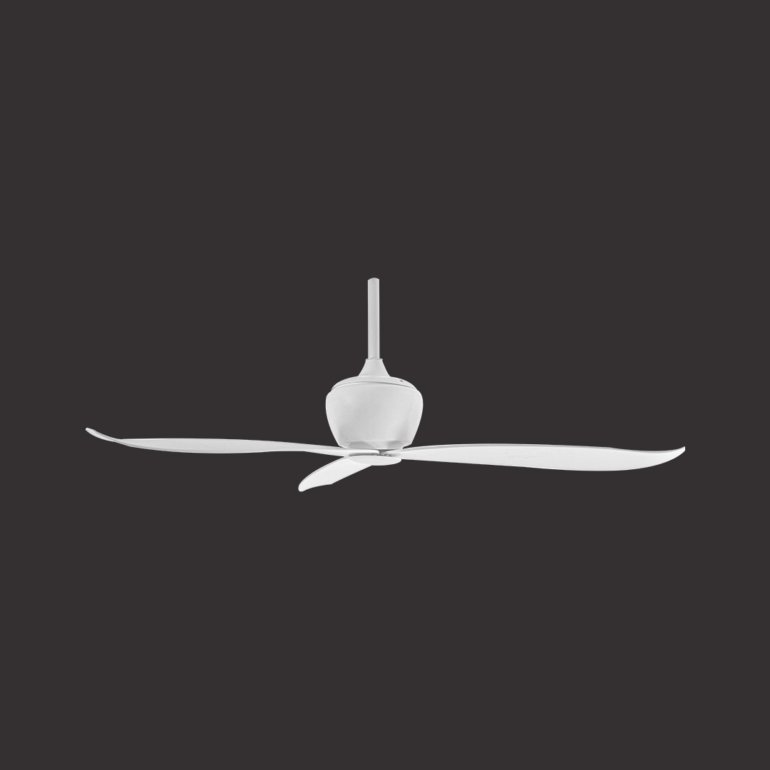 Buy VENICE (WHITE) Designer Ceiling Fan