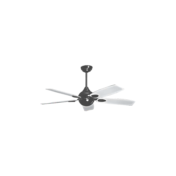 Buy PUFFIN designer ceiling fan Online now