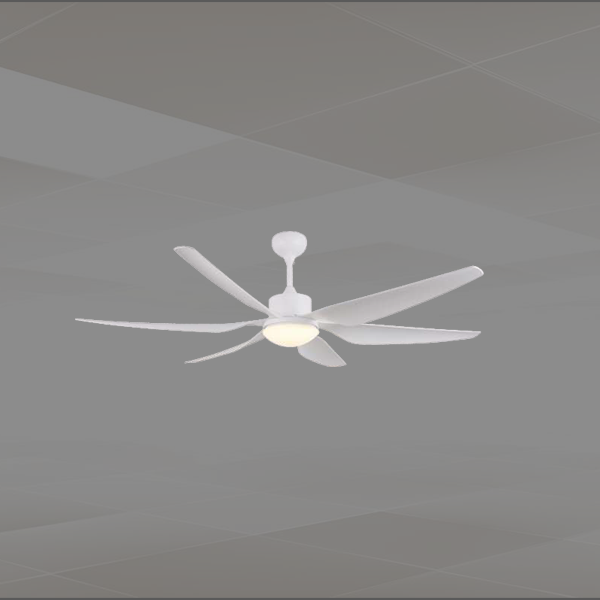 Modern Ceiling Fan Online