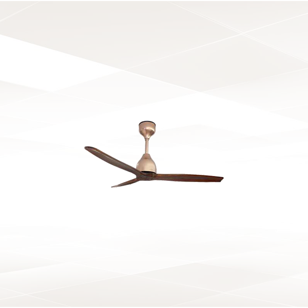 Buy Trendy Magnific Designer Modern Ceiling Fan Online