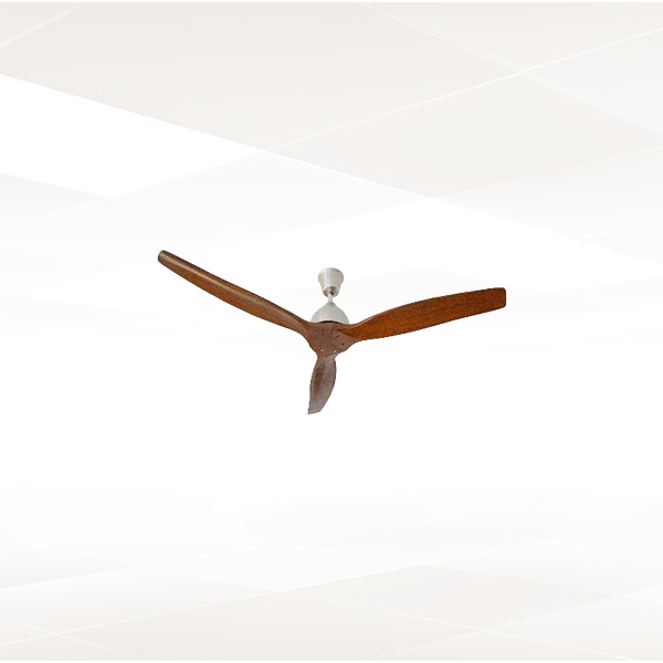 Buy Trendy Magnific Designer Modern Ceiling Fan Online